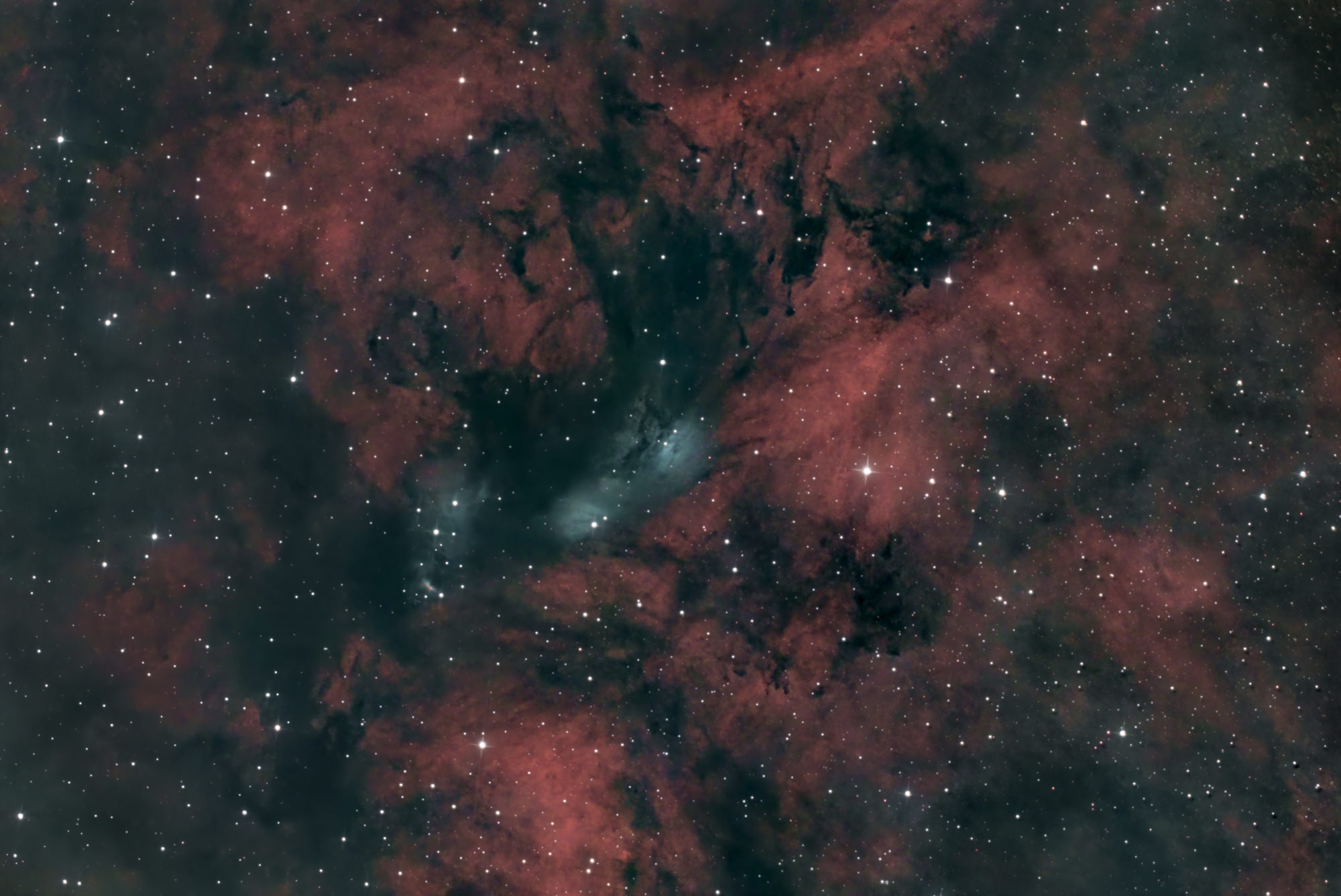 NGC 6914 is a colorful nebula complex in the constellation Cygnus, consisting of a fascinating mix of red emission nebulae and blue reflection nebulae. Dark, opaque dust clouds weave through the region, forming striking silhouettes against the glowing background.